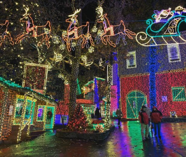Branson Christmas Info - America's Christmas Tree City